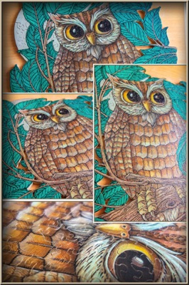 Owl Puzzle WIP - 12